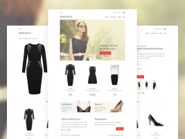 shopify website 5